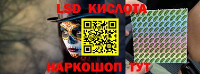 гидропоника Кингисепп