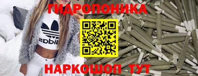 ГАЛЛЮЦИНОГЕННЫЕ ГРИБЫ Кинель
