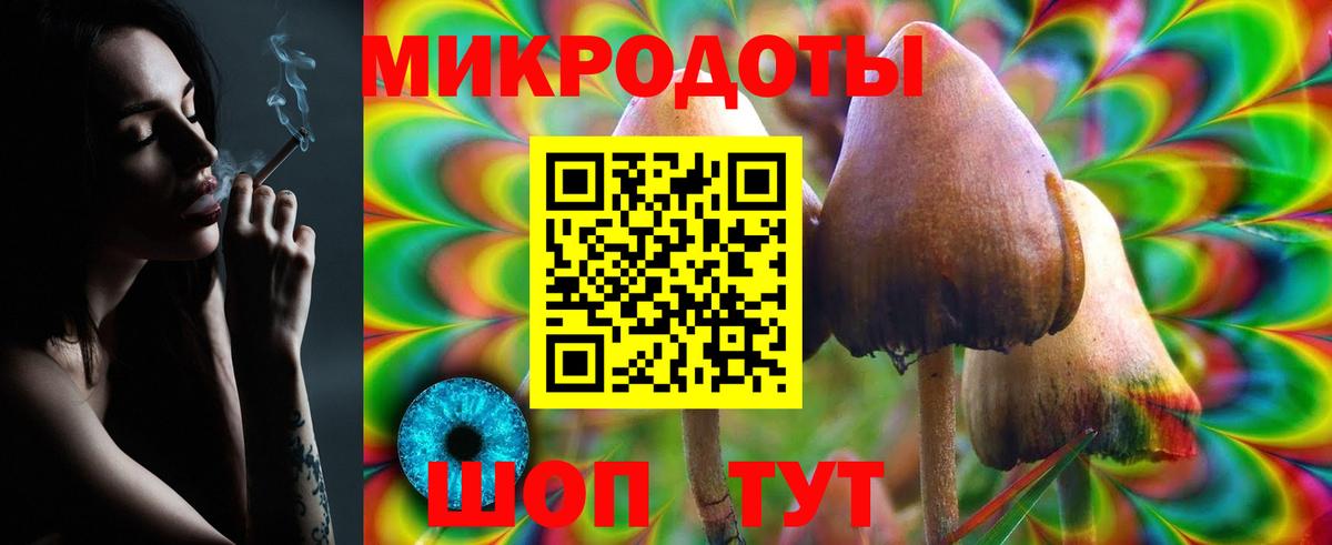 Клин  Псилоцибиновые грибы Psilocybe  купить наркоту  Вход с VPN 